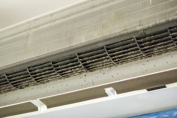 Best Emergency Air Duct Cleaning  in Santa Clarita, CA